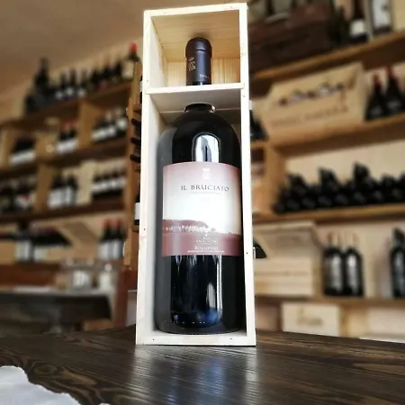 Oda ve Kahvaltı La Canonica Room's