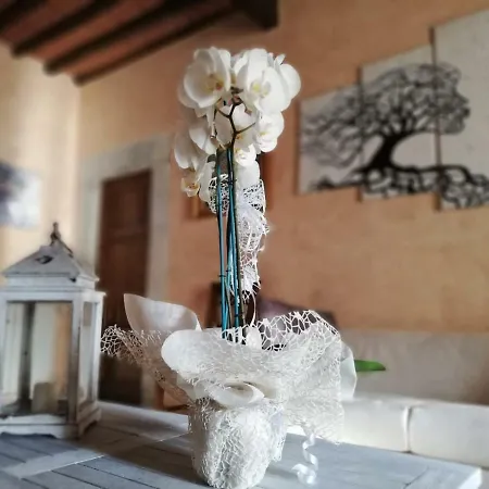 La Canonica Room's Panzió